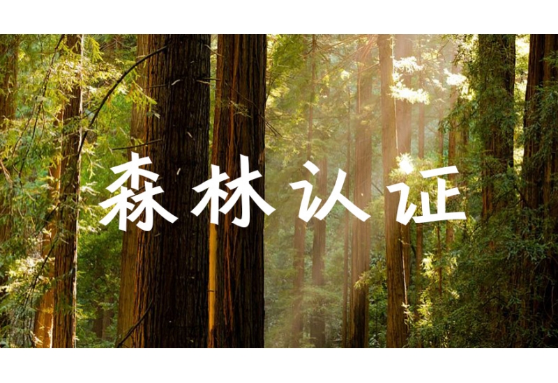 阜陽大可新材料股份有限公司關于開展森林聯合認證的公開承諾